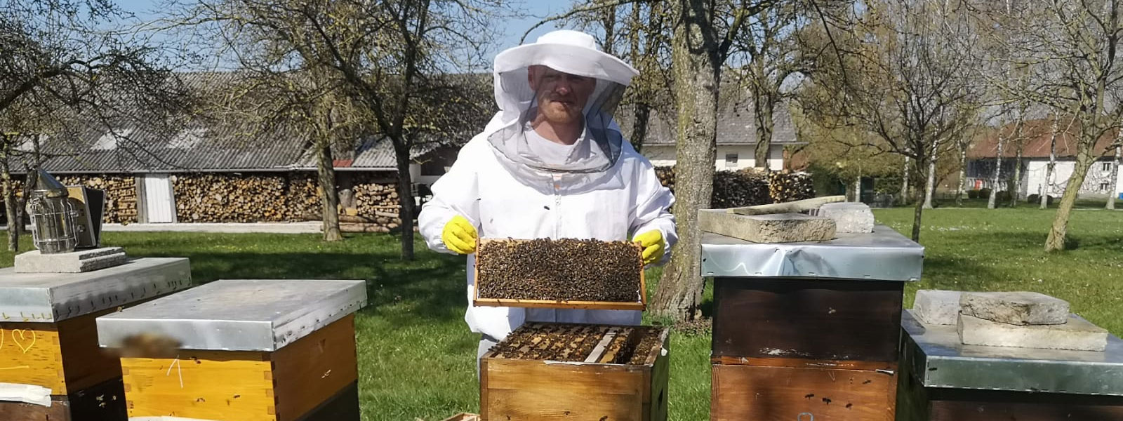 Bienenstöcke am Aroniahof Strasser